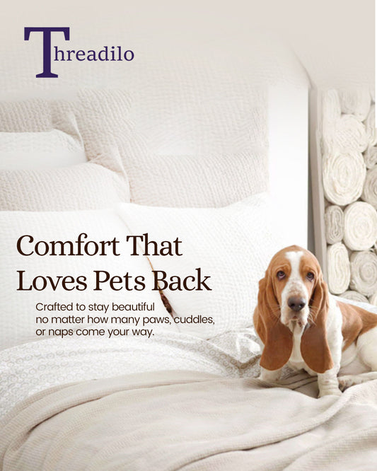 Snuggle-Proof & Pet-Approved: Bedsheets Made for You & Your Furry Friend