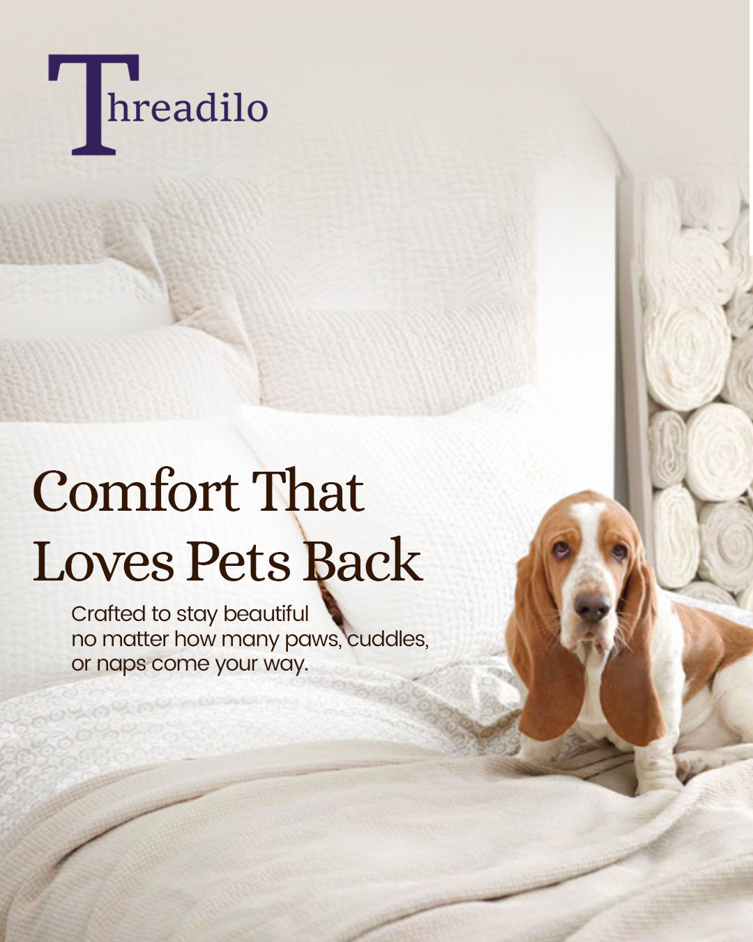 Snuggle-Proof & Pet-Approved: Bedsheets Made for You & Your Furry Friend