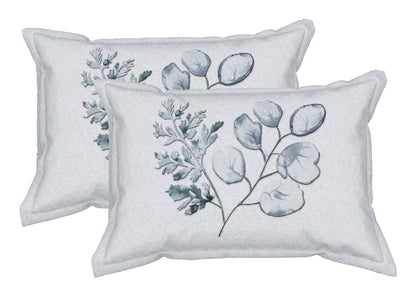 Peacock Blue Bliss 100% Cotton King Size Bedsheet.